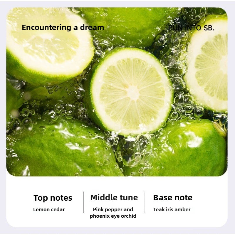 ARIB20 - App intelligente Macchina per aromaterapia Umidificatore Aria fresca