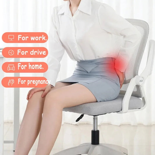 ERGOL17  - Cuscini per sedie casa e ufficio