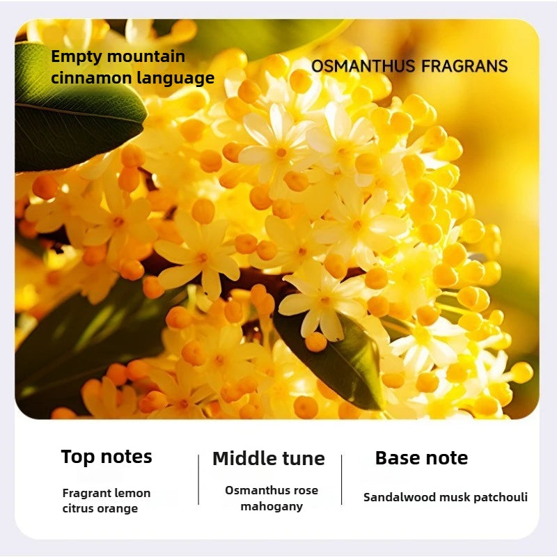 ARIB20 - App intelligente Macchina per aromaterapia Umidificatore Aria fresca