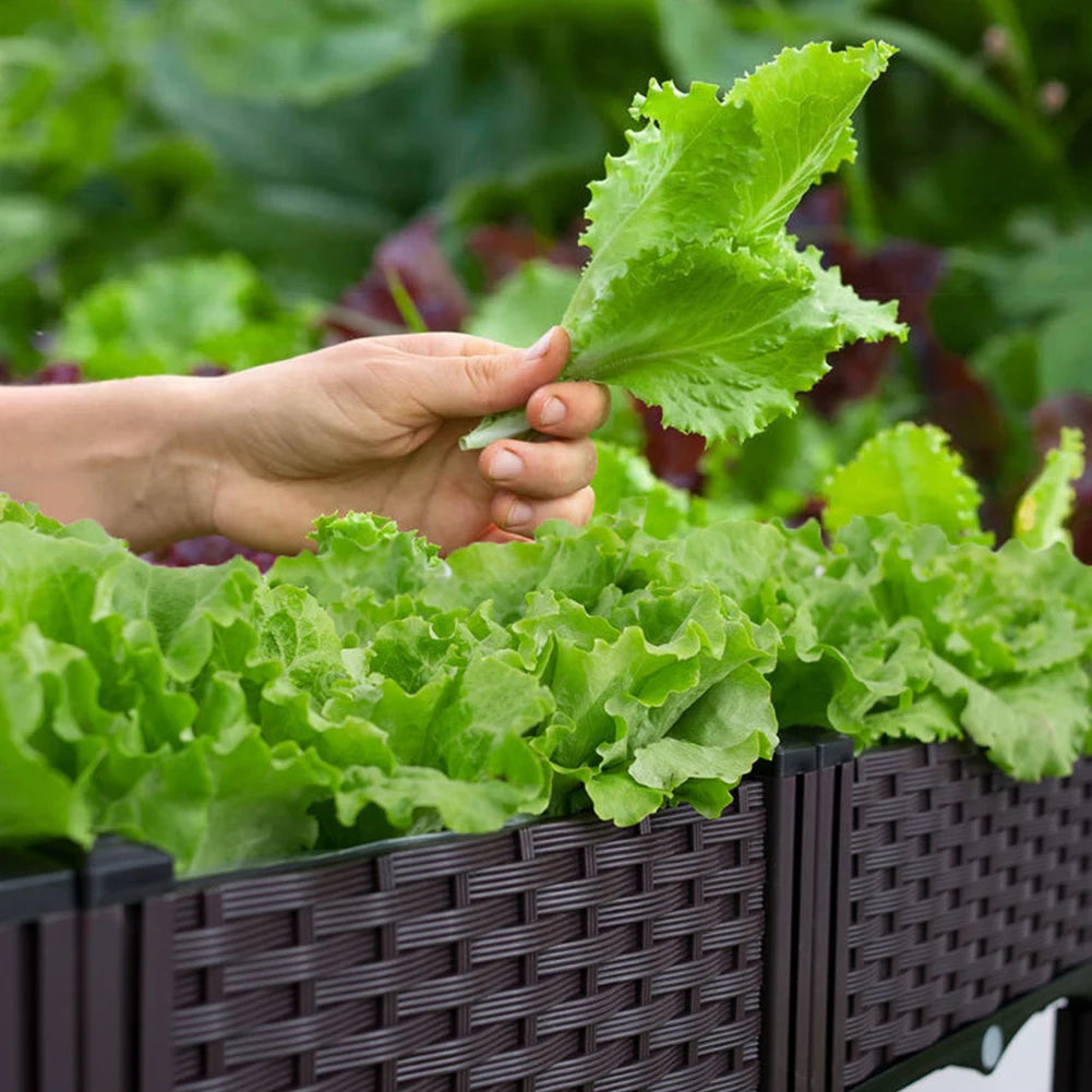 OUTDB9 - Vaso per verdure da balcone
