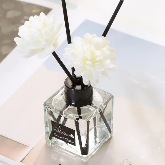 ARIB7 - Bottiglia bastoncini diffusore di aromi per aromaterapia